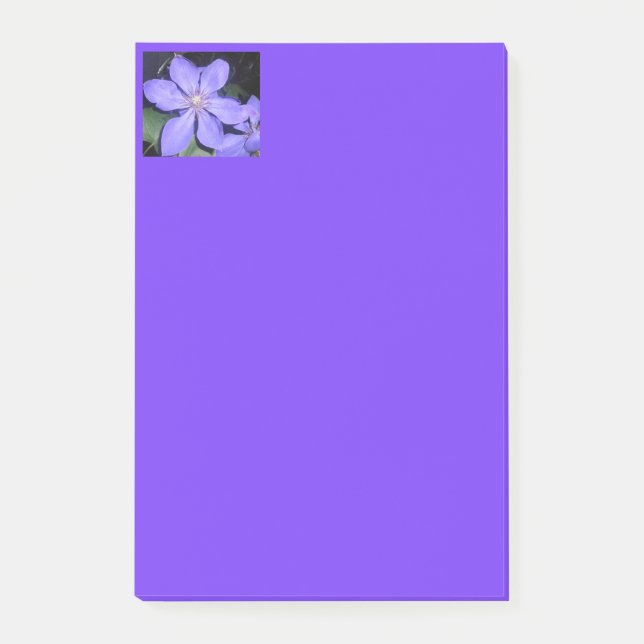 Césarine Post-it Klebezettel (Vorderseite)