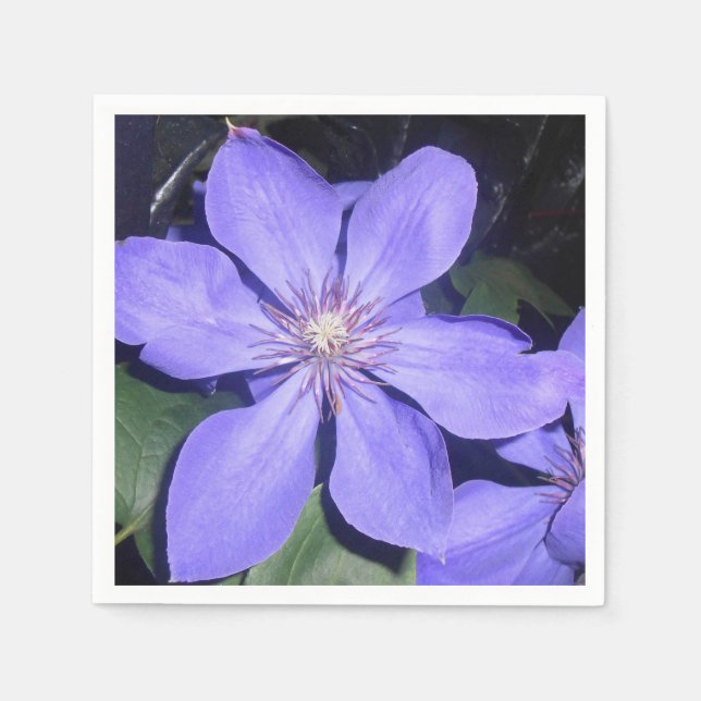 Césarine Serviette (Vorderseite)