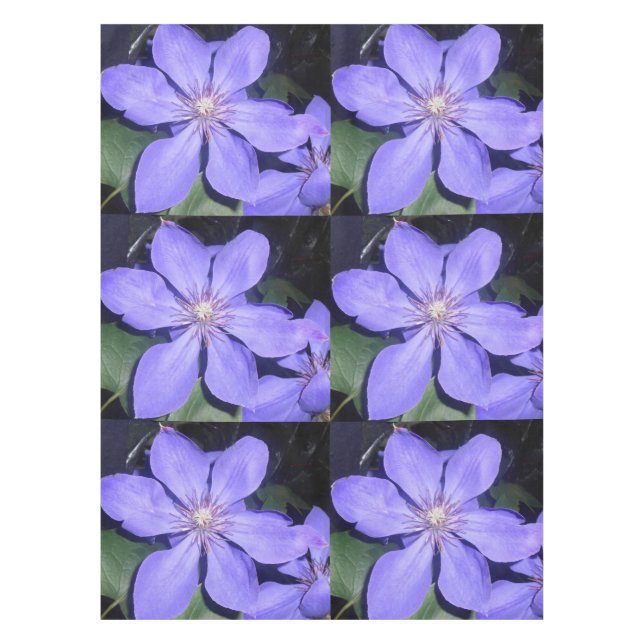 Césarine Tischdecke (Vorderseite)