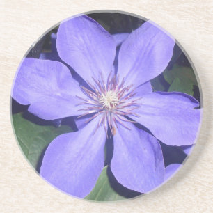 Césarine Untersetzer