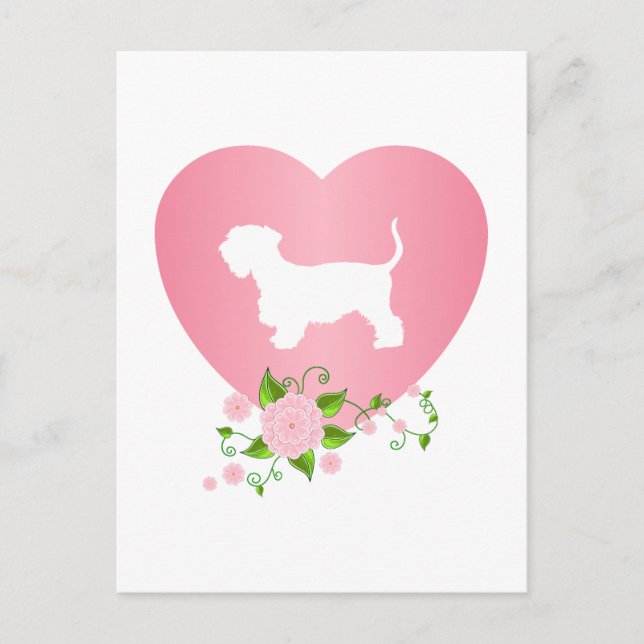 Cesky Terrier Postkarte (Vorderseite)