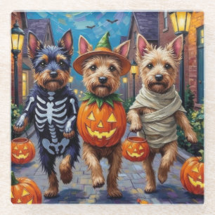 Cesky Terrier Süßigkeitenbetteln Halloween-Kostüm  Glasuntersetzer