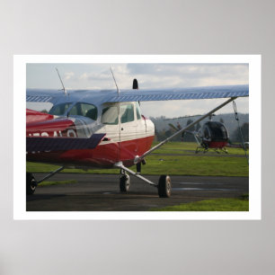 Cessna 172 und Schweizer 300C Poster