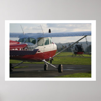 Cessna 172 und Schweizer 300C Poster