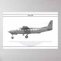 Cessna 208 AE