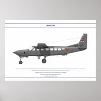 Cessna 208 Libanon