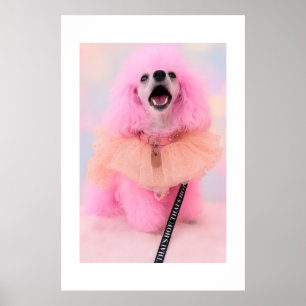 C'est chaud, c'est rose, affiche rétro kawaii Cani