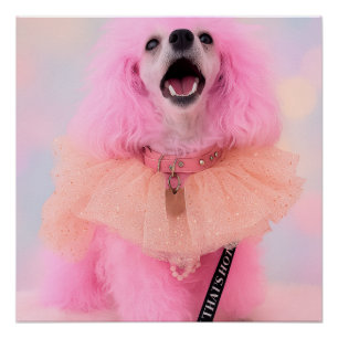 C'est chaud, c'est rose, affiche rétro kawaii cani