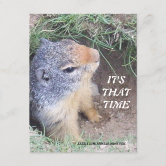 C'est invitation du jour de ce Groundhog de fois