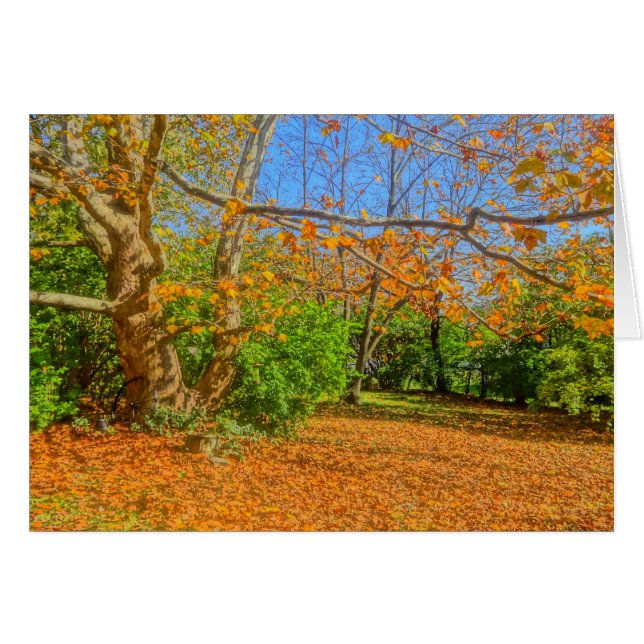 C'est l'heure de faire la fête ! (Devant horizontal)