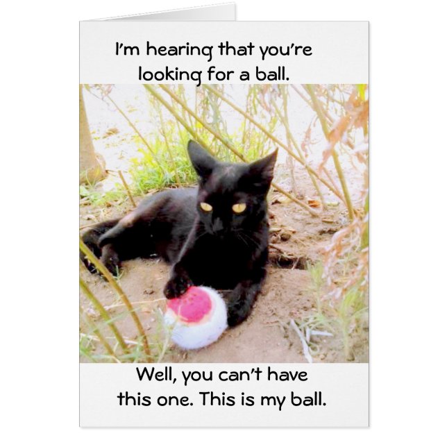 C'Est Mon Boule (Devant)