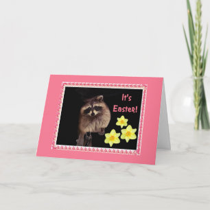 C'est Pâques ! Carte Raccoon pour tous.