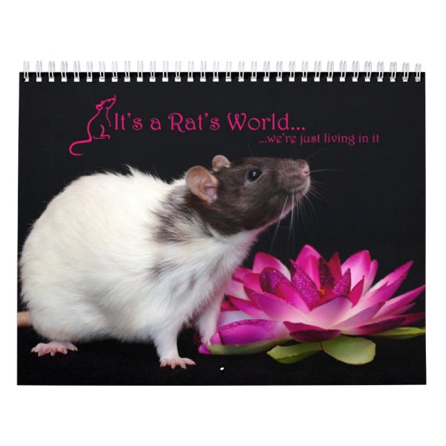 C'est un calendrier 2016 du monde de rat (Protection)