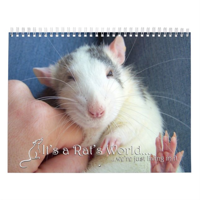 C'est un calendrier 2016 du monde de rat (Protection)