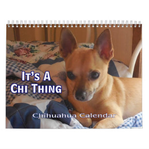 C'est un calendrier de chiwawa de chose de Chi