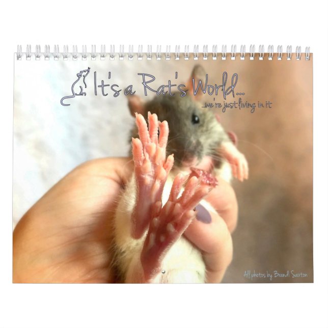 C'est un calendrier mondial de Rat (Protection)
