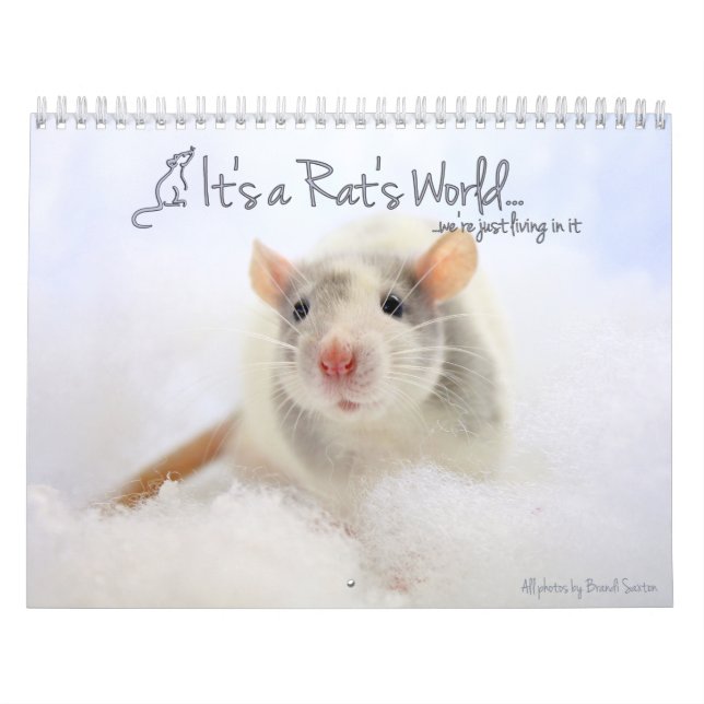 C'est un calendrier mondial de Rat (Protection)