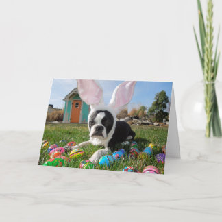 C'est un CERTAIN lapin ! Carte de Lola B. Boston