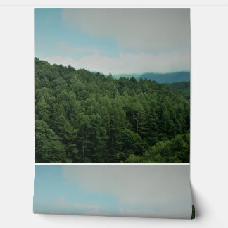 c'est un papier peint et autre produit.