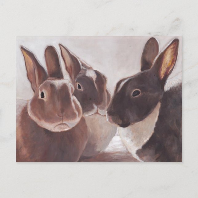 "C'est une discussion de lapin" Carte postale (Devant)