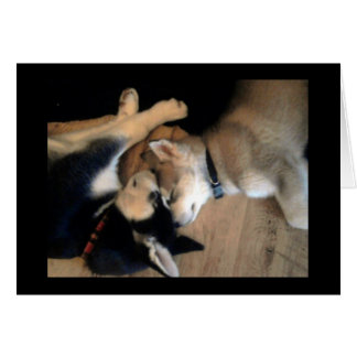 C'est une vie de chiens