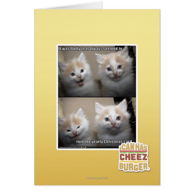 C'était Fluffy (Devant)