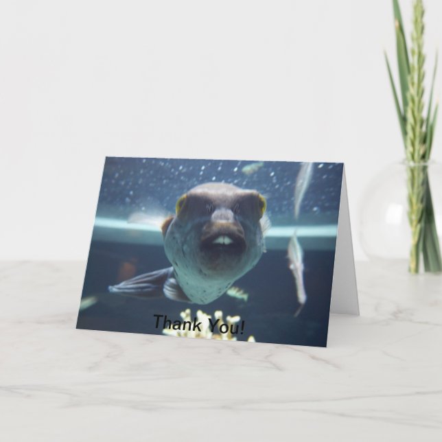 Cette carte de poisson à bec (Devant)