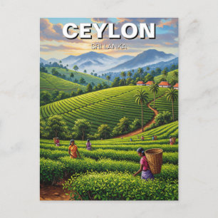 Ceylon Sri Lanka Travel Postkarte
