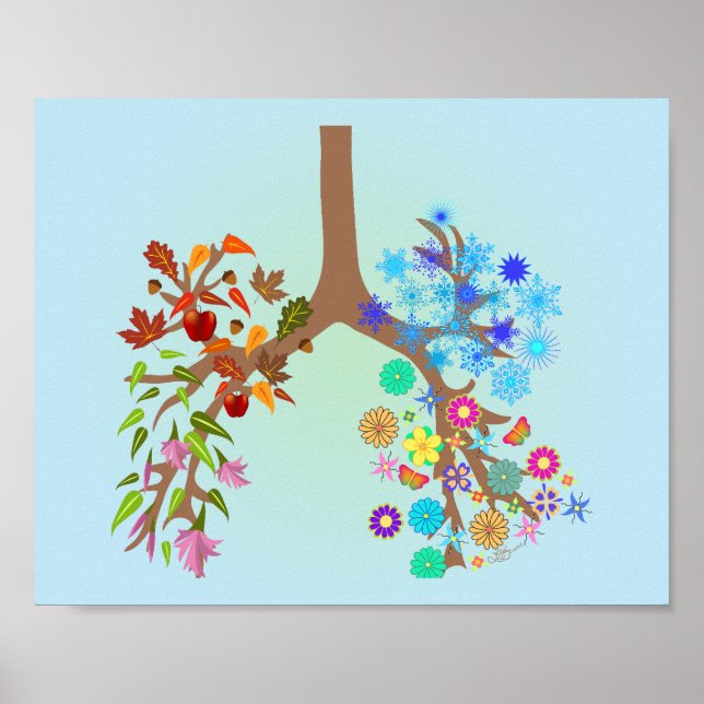 CF ~ Alle Saisons Poster (Vorne)