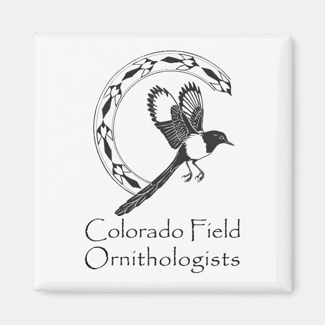 CFO-Magnete Magnet (Vorne)