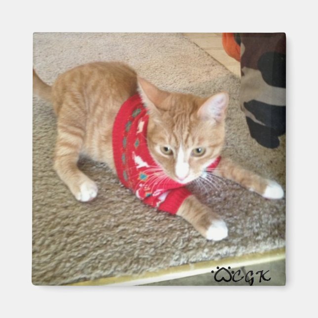 CGK FRIDGE MAGNET (Devant)