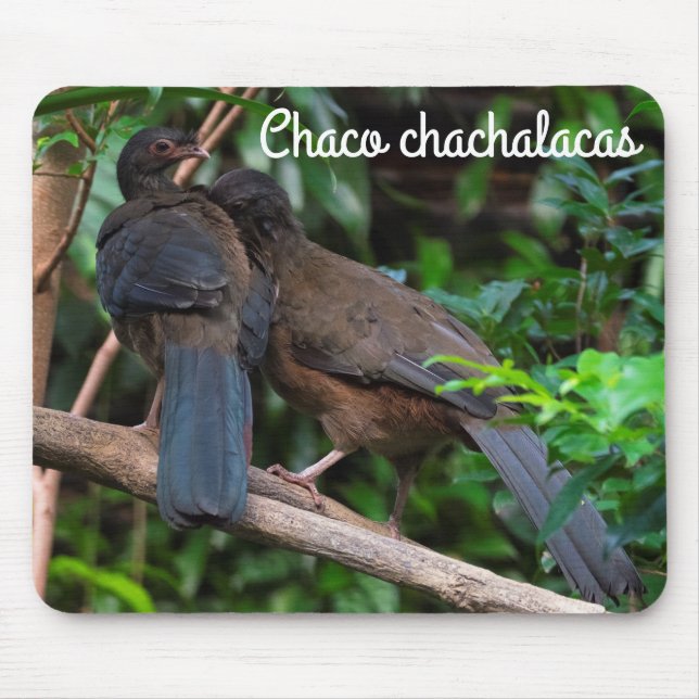 Chaco Chachalacas Mousepad (Vorne)
