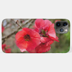 Chaenomeles speciosa Case-Mate iPhone hülle