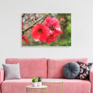 Chaenomeles speciosa leinwanddruck
