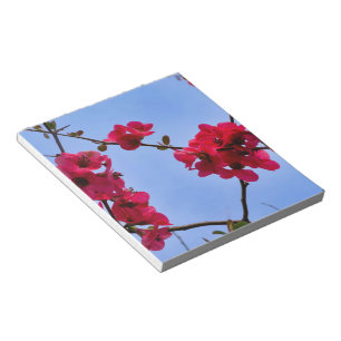 Chaenomeles speciosa notizblock