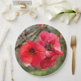 Chaenomeles speciosa Papierplatte Pappteller