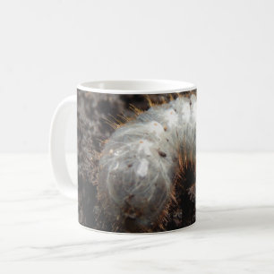 Chafer Larva Bug Tasse
