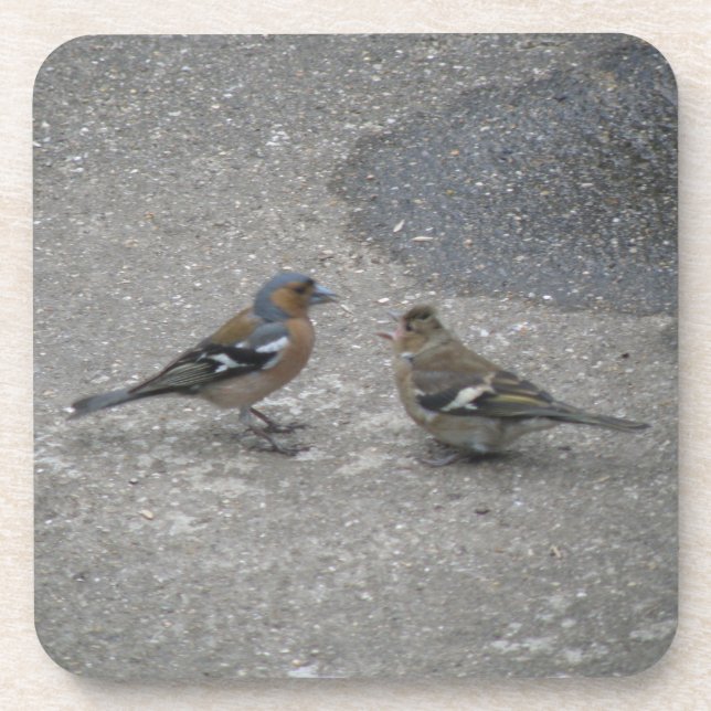 Chaffinch Fütterte Me Cork Untersetzer (Vorderseite)