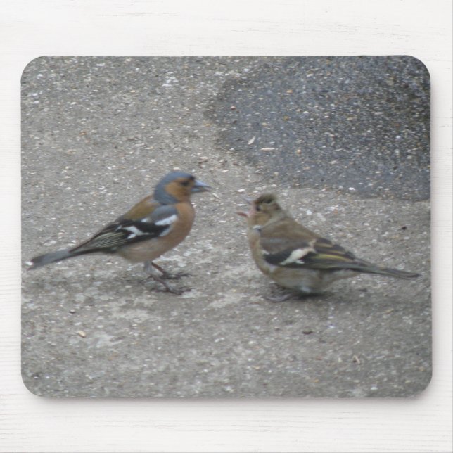 Chaffinch Fütterte Me Mousepad (Vorne)
