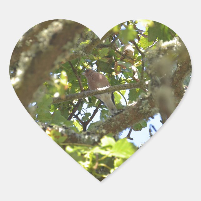 Chaffinch Herz-Aufkleber (Vorderseite)