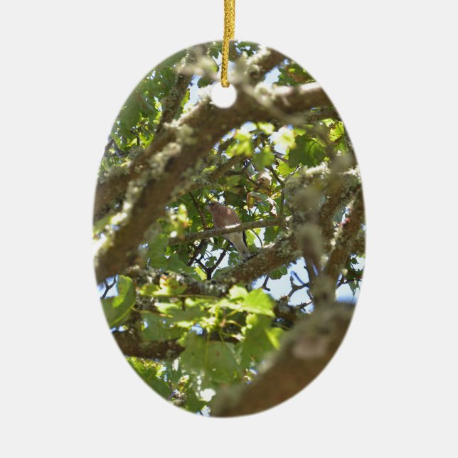Chaffinch Keramik Ornament (Vorne)