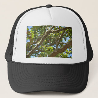 Chaffinch Truckerkappe