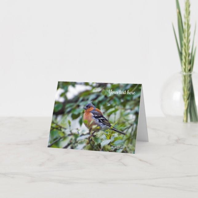 Chaffinch Vogel Grußkarte Dankeskarte (Vorderseite)