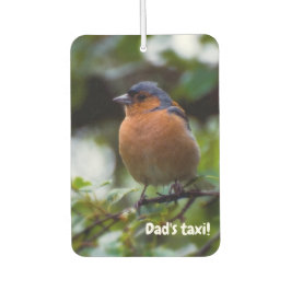 Chaffinch Vogel Luftkühler Autolufterfrischer