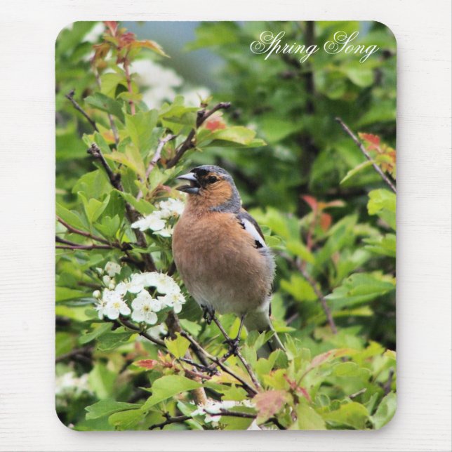 CHAFFINING MOUSEPAD (Vorne)