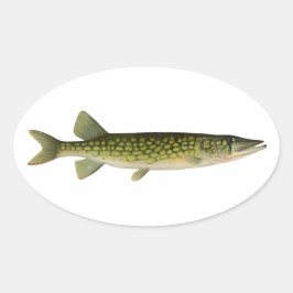 Chain Pickerel Illustration Ovaler Aufkleber