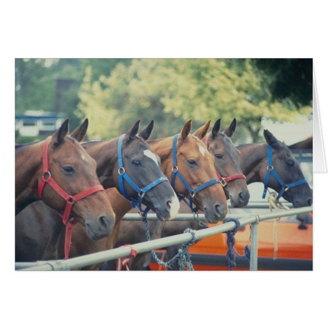 Chaîne Polo Pony (Devant horizontal)