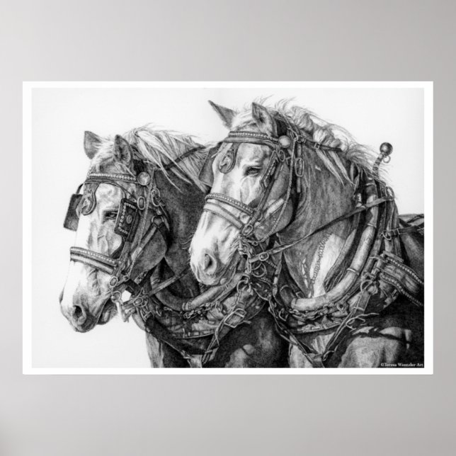 Chained to the World Draft Horses Drawing Poster (Vorne)