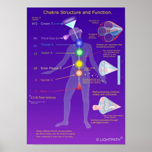 Chakra Struktur und Funktion Poster (Vorne)