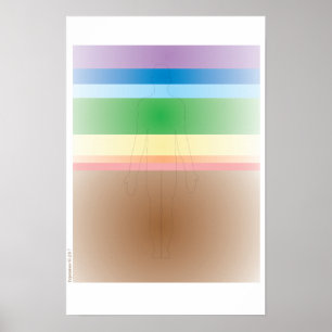 Chakra System Poster